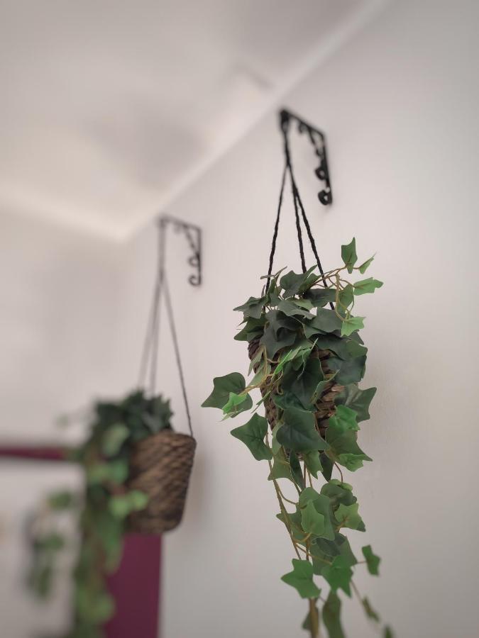 Apartment Misseregram